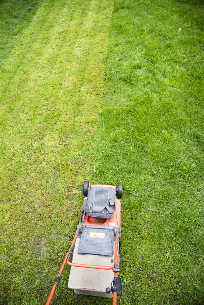 Landscaping in Ruislip